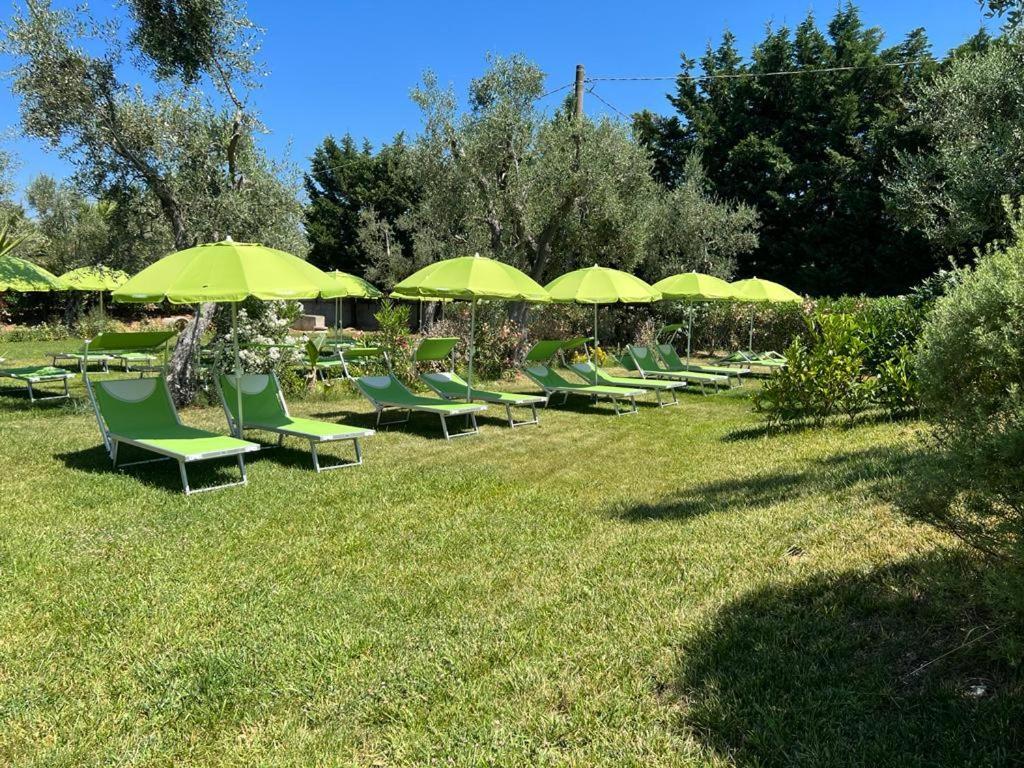 Villa Terra Nostra Vieste Buitenkant foto