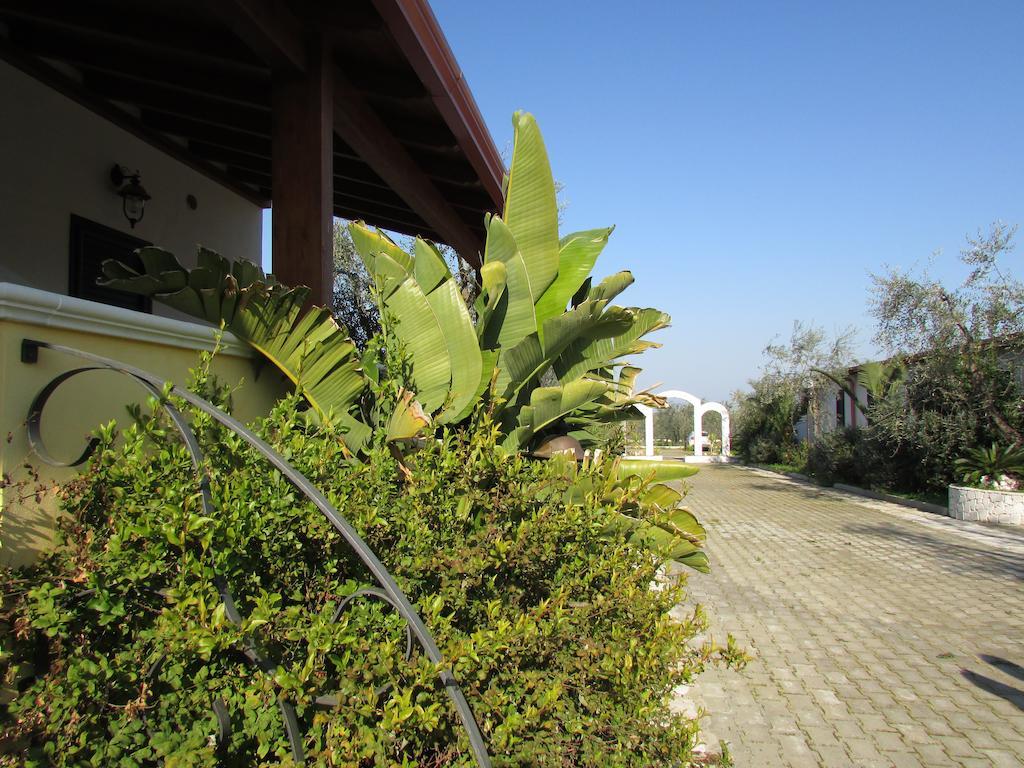 Villa Terra Nostra Vieste Buitenkant foto